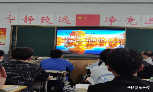  珍爱生命 向阳而生