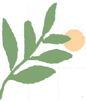 屏幕截图 2022-07-23 183023.png