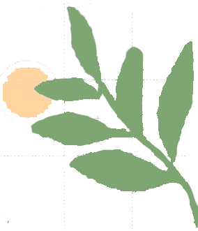 屏幕截图 2022-07-23 183023.png